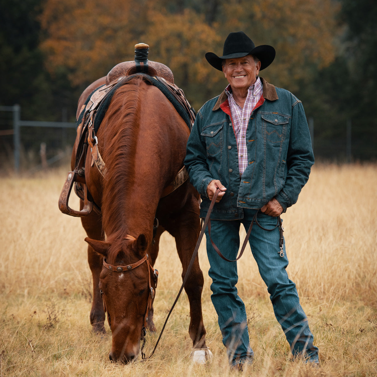 6X City Limits - 75 Profile George Strait Cowboy Hat