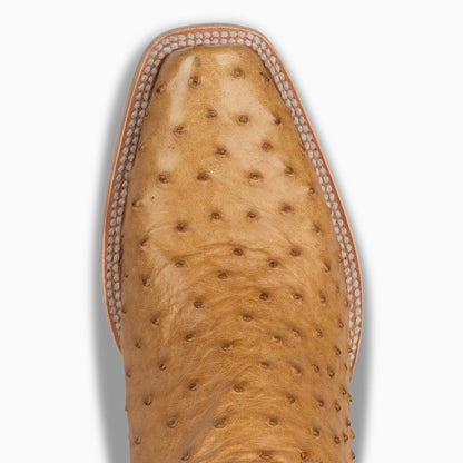 Saddle Tan Full Quill Ostrich - Cutter