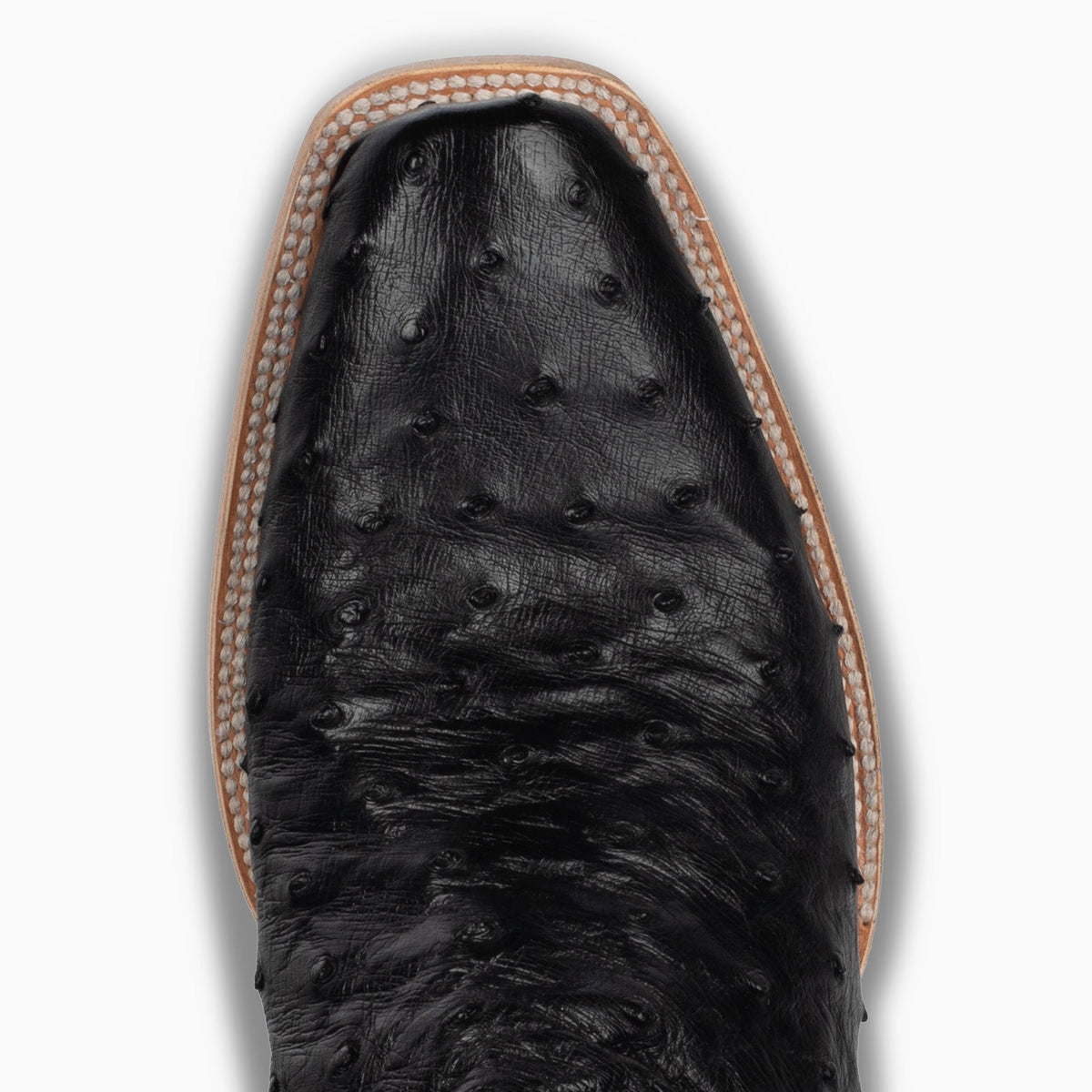 Black Full Quill Ostrich - Cutter