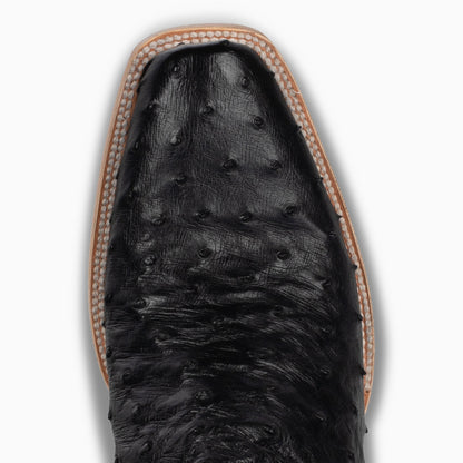 Black Full Quill Ostrich - Cutter