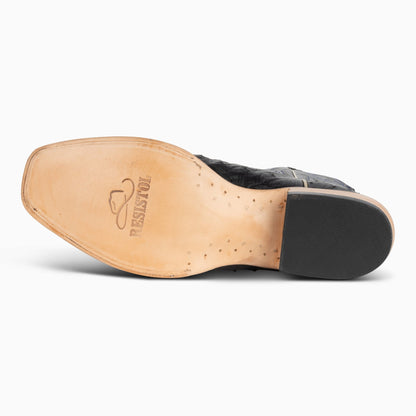 Black Full Quill Ostrich - Cutter