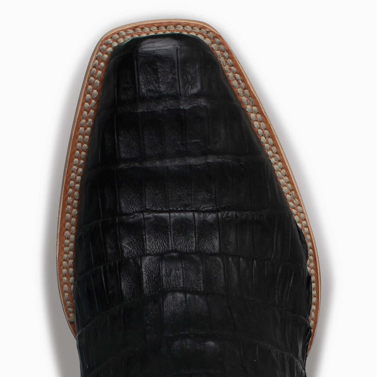 Black Caiman - Cutter