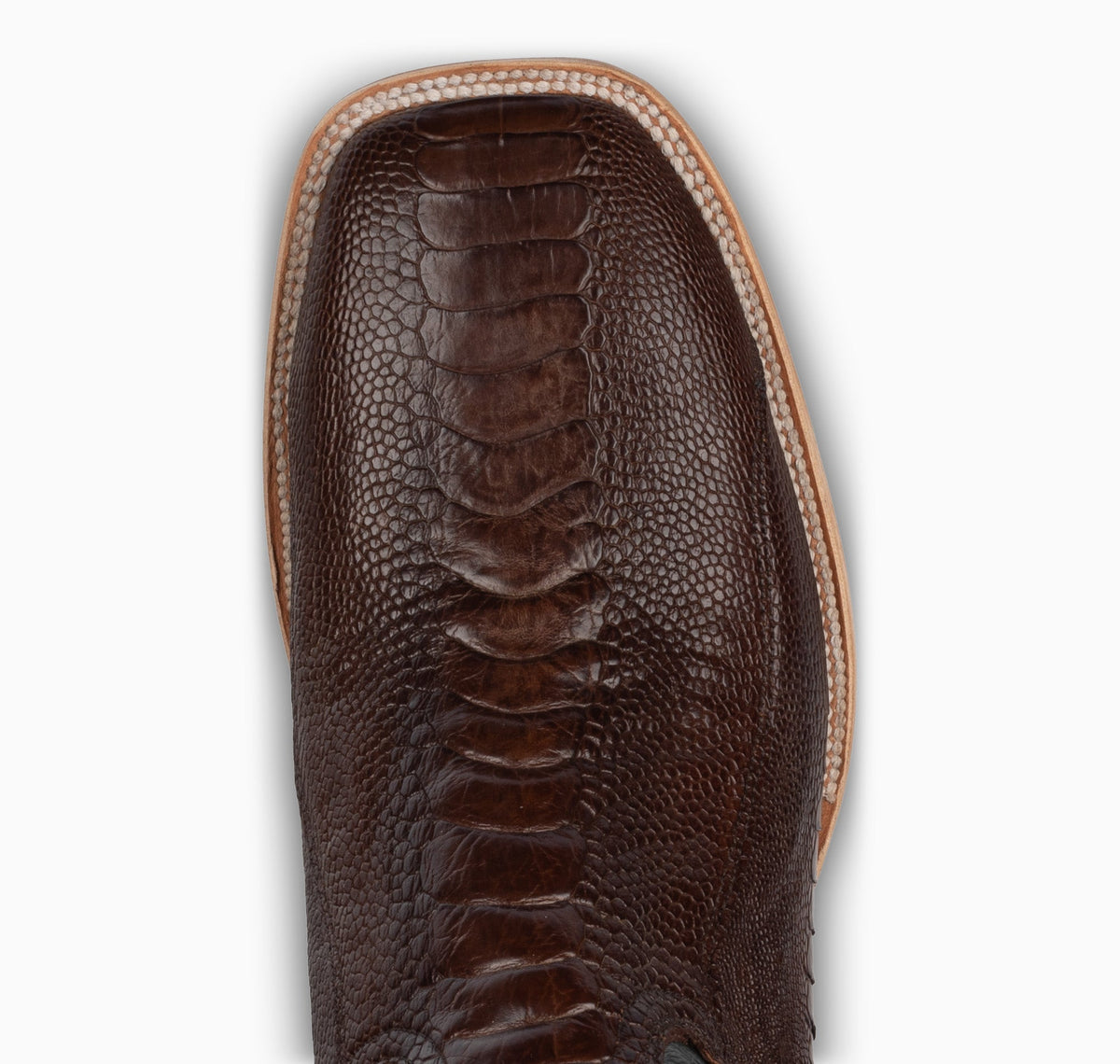 Chocolate Ostrich Leg - Square