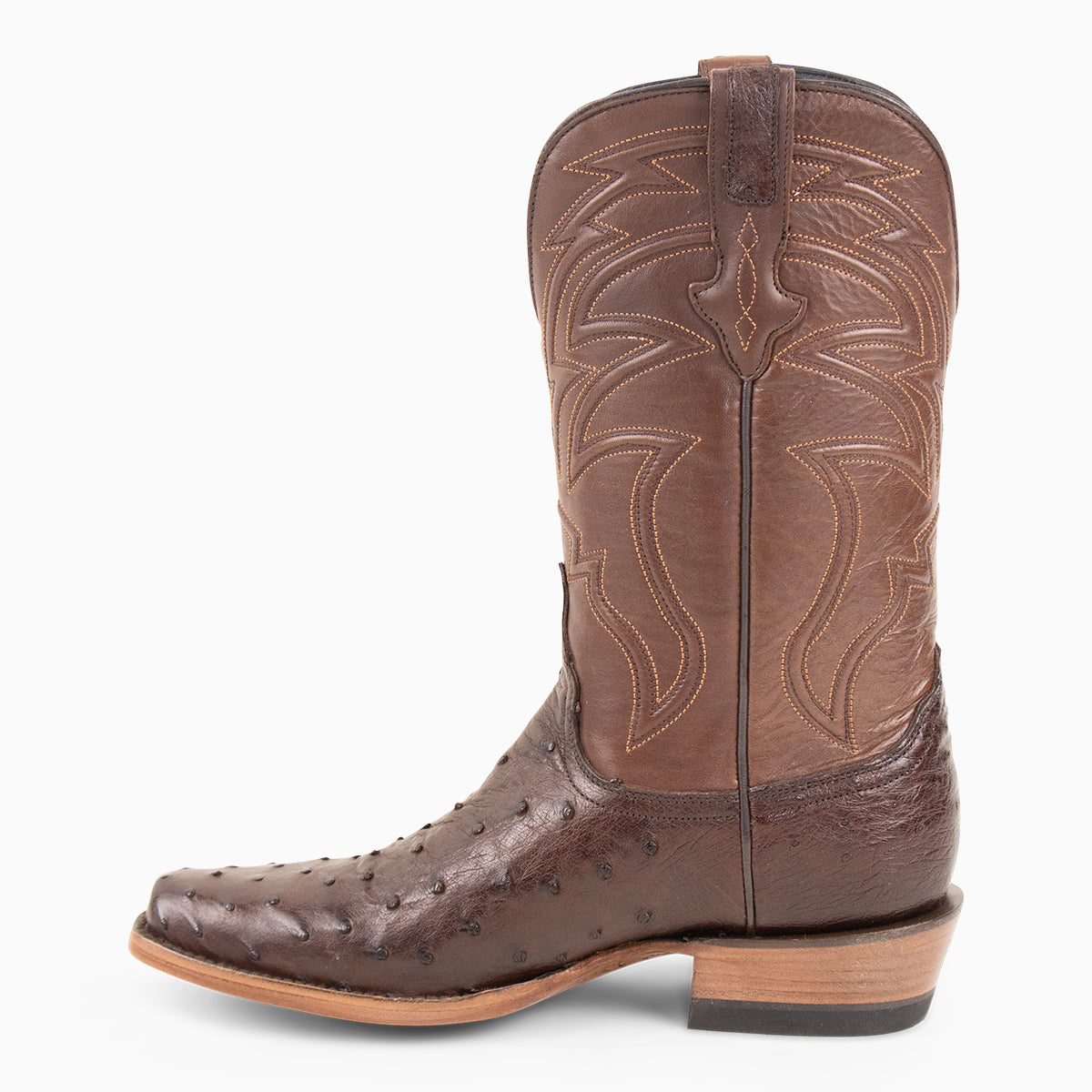 Brown Full Quill Ostrich - Cutter