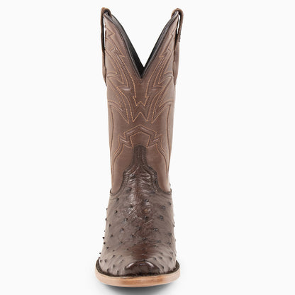 Brown Full Quill Ostrich - Cutter
