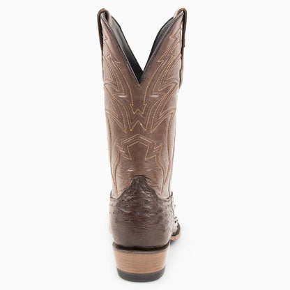 Brown Full Quill Ostrich - Cutter