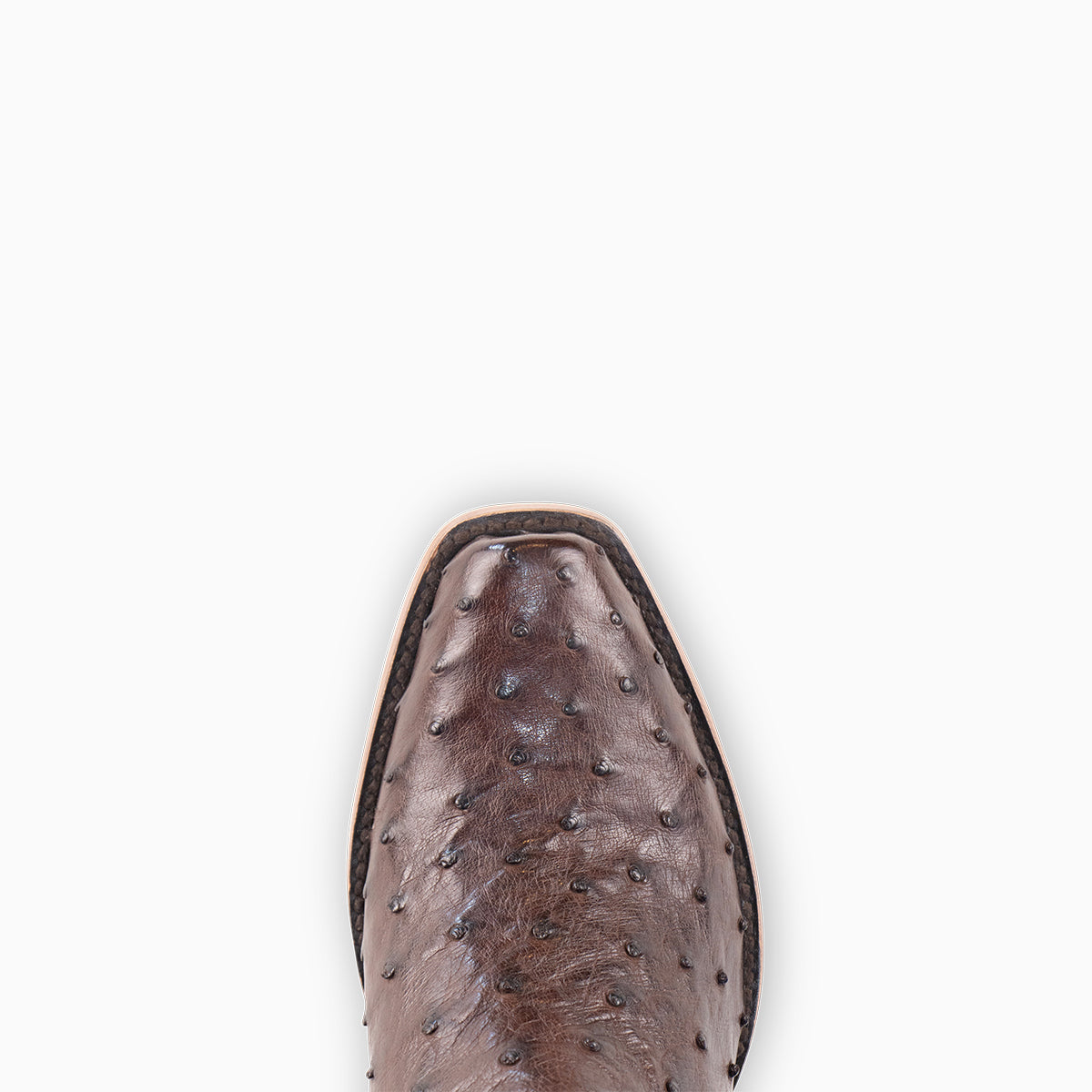 Brown Full Quill Ostrich - Cutter