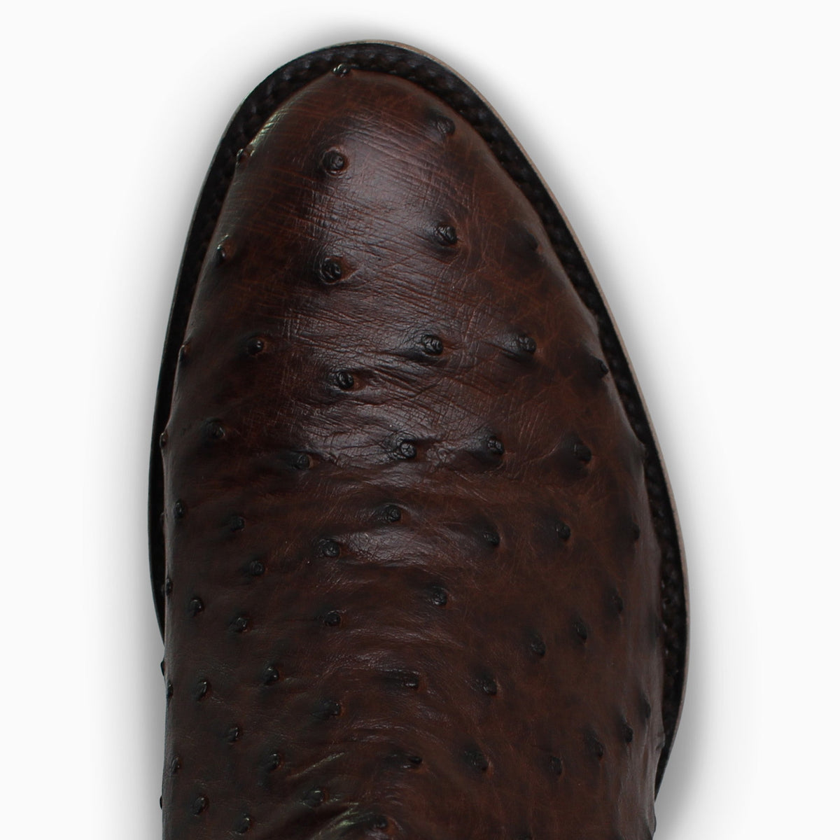 Brown Full Quill - Round