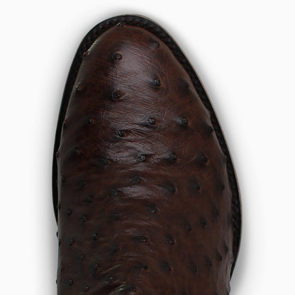 Brown Full Quill - Round