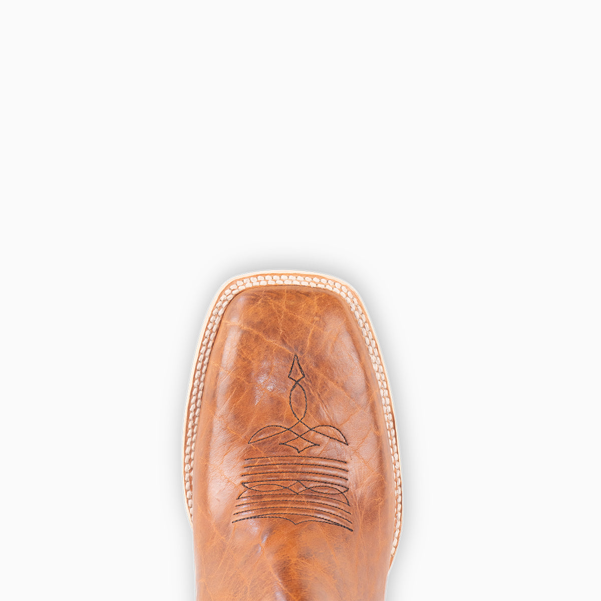 Golden Tan Bison - Square